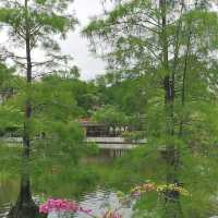 北區公園都可以影得好靚