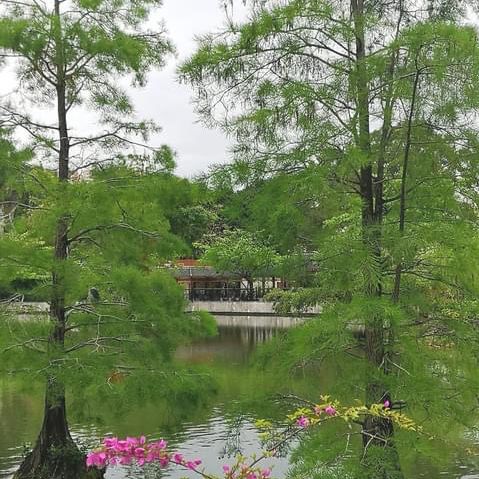北區公園都可以影得好靚