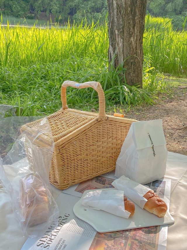 ⛱서울숲 피크닉 스팟은 여기✨