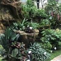 熱帶植物展覽館
