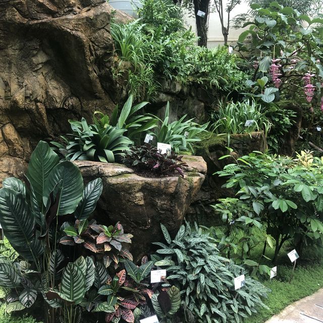 熱帶植物展覽館
