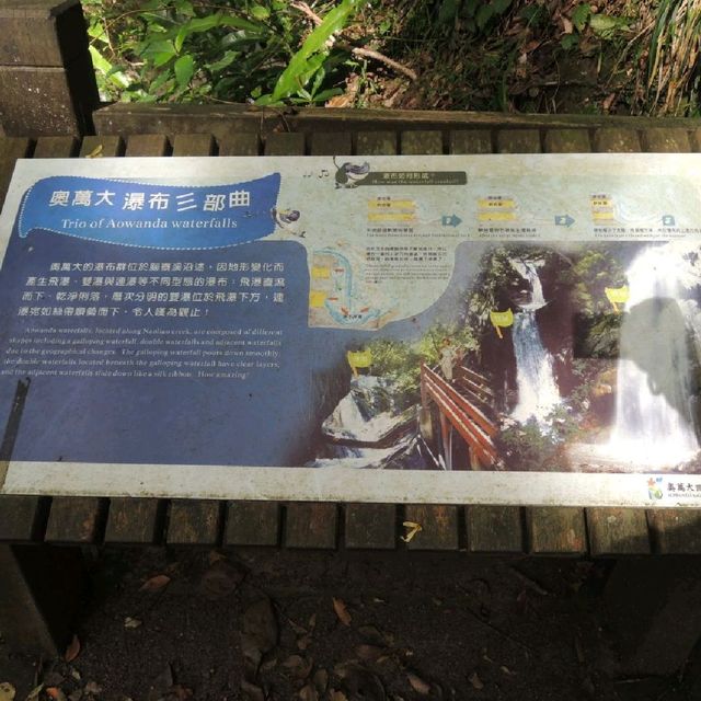 魅力森林奧萬大🌲🌲🌲