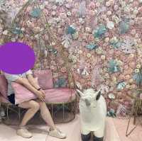 閨密聚會，打卡一流