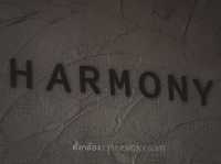 HARMONY Coffee & Roastery