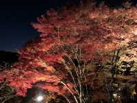 【京都】清水寺の歴史と見ておくべきスポットをご紹介