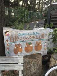 東京超可愛龍貓泡芙咖啡廳😻😻😻