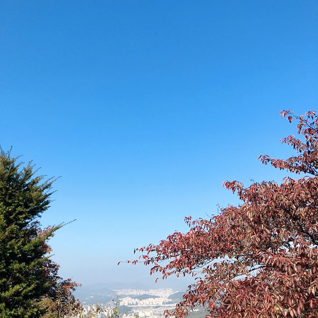 서울 근교 피크닉 ✨ 용마산, 아차산 등산기!