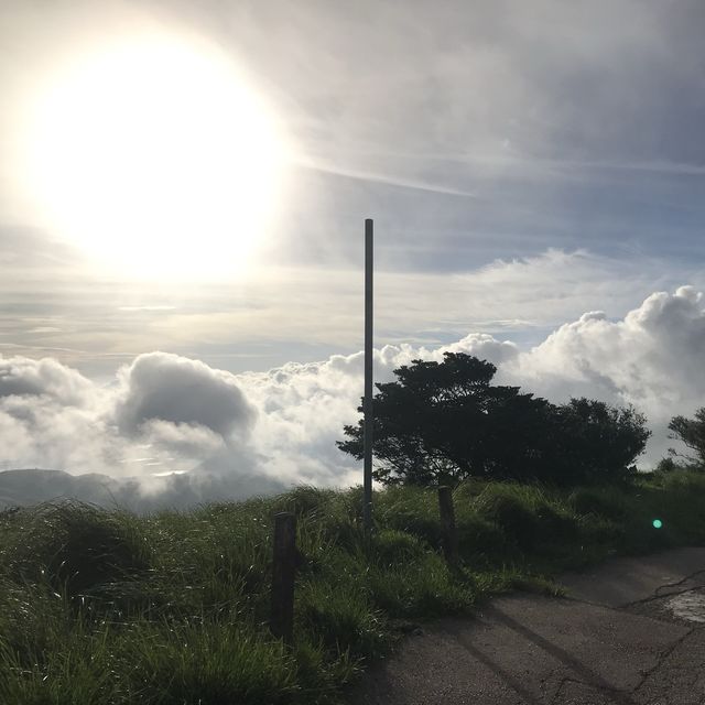 即興睇日出 🌅 牛🐃 出沒注意 ‼️