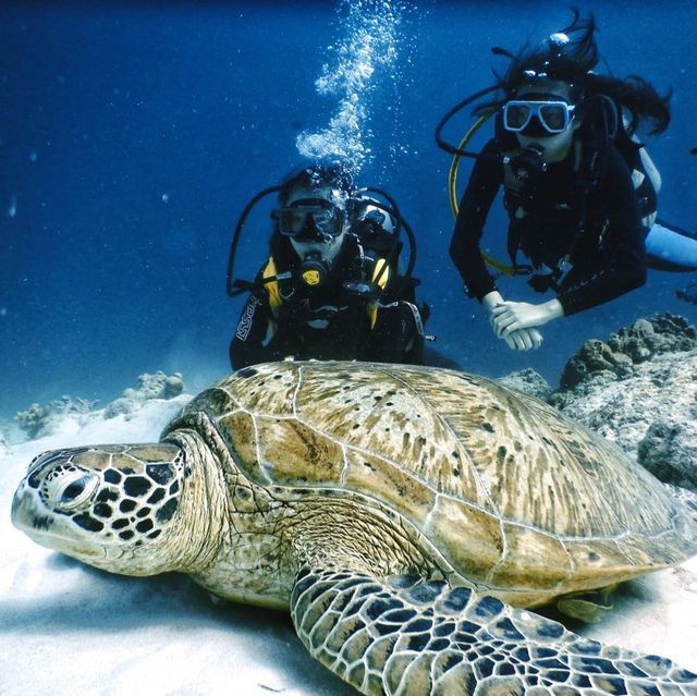 Dive Heaven - El Nido + Coron