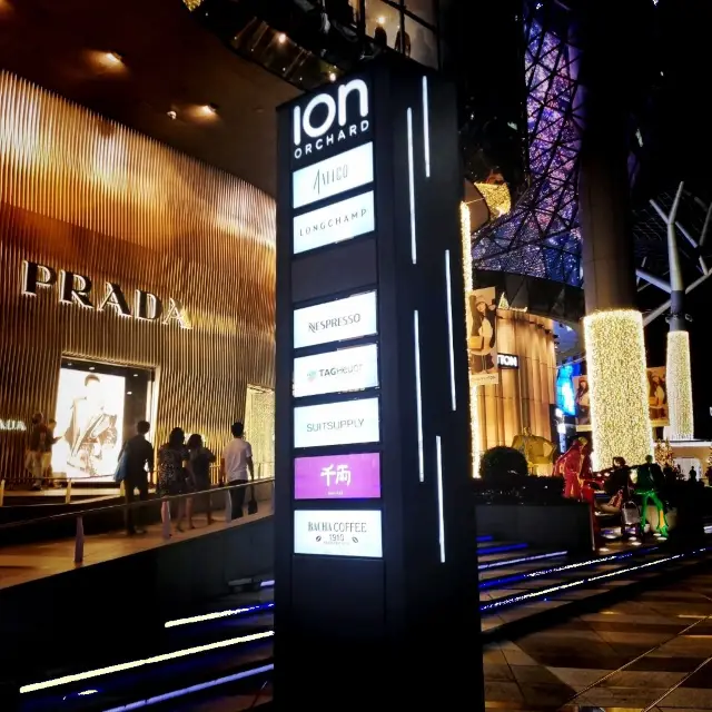 Christmas Lights At Ion Orchard - Photo Ed