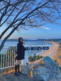 엠클리프 ✨ 영종도 오션뷰 카페