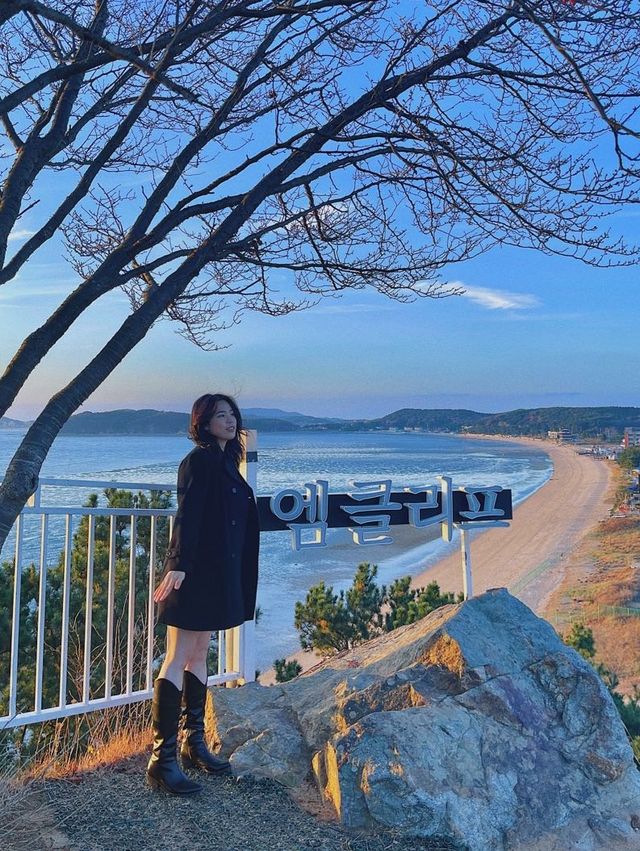 엠클리프 ✨ 영종도 오션뷰 카페