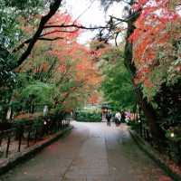 日本最古の神社　世界遺産　宇治上神社