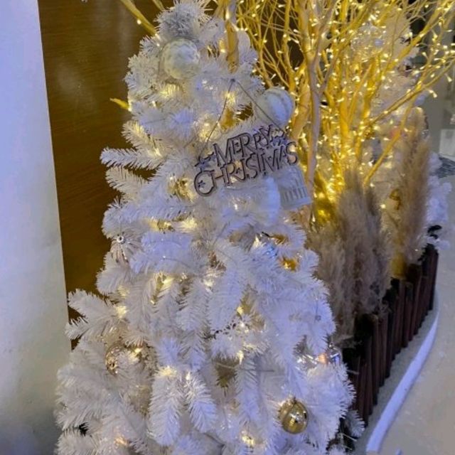 ✨浪漫北歐雪國童話小鎮☃✨