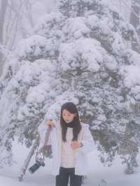 제주 눈 올때 갈만한 코스! 윗세오름 등반 ❄️