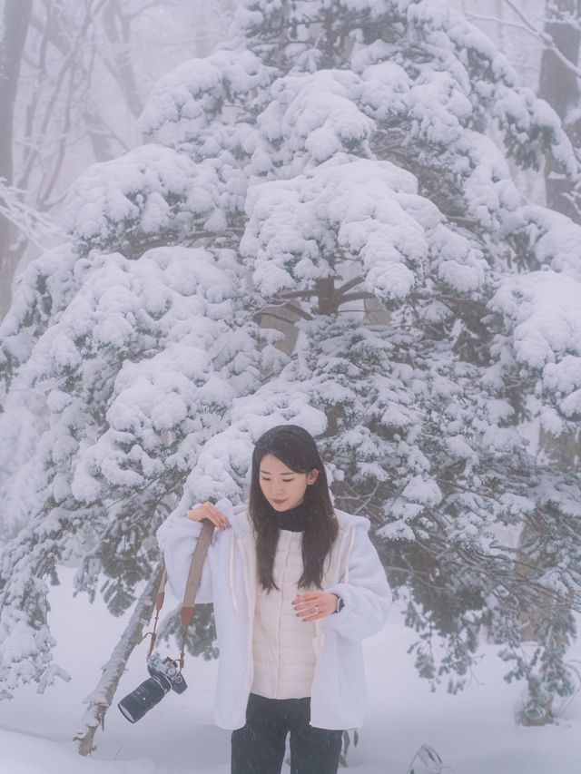 제주 눈 올때 갈만한 코스! 윗세오름 등반 ❄️