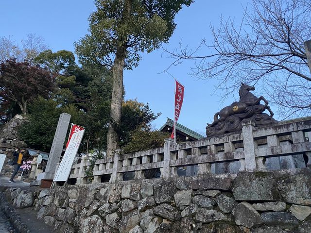 犬山市必訪 人氣✨針綱神社