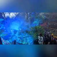 化腐朽為神奇～Eden Project @Cornwall