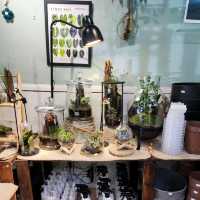 Naug Cafe Plants Make People Happy