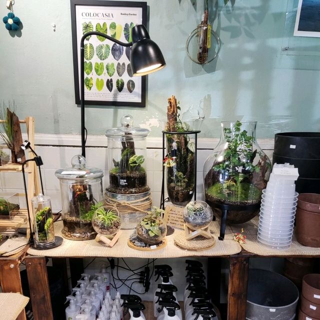 Naug Cafe Plants Make People Happy