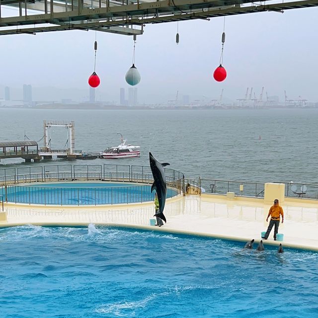 福岡親子遊：去水族館