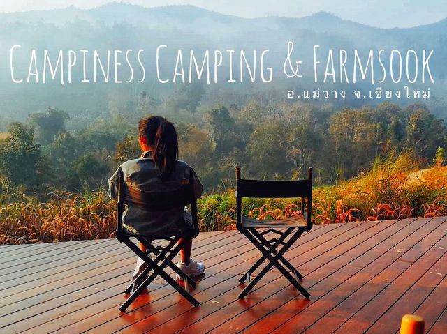 Campiness Camping & Farmsook
