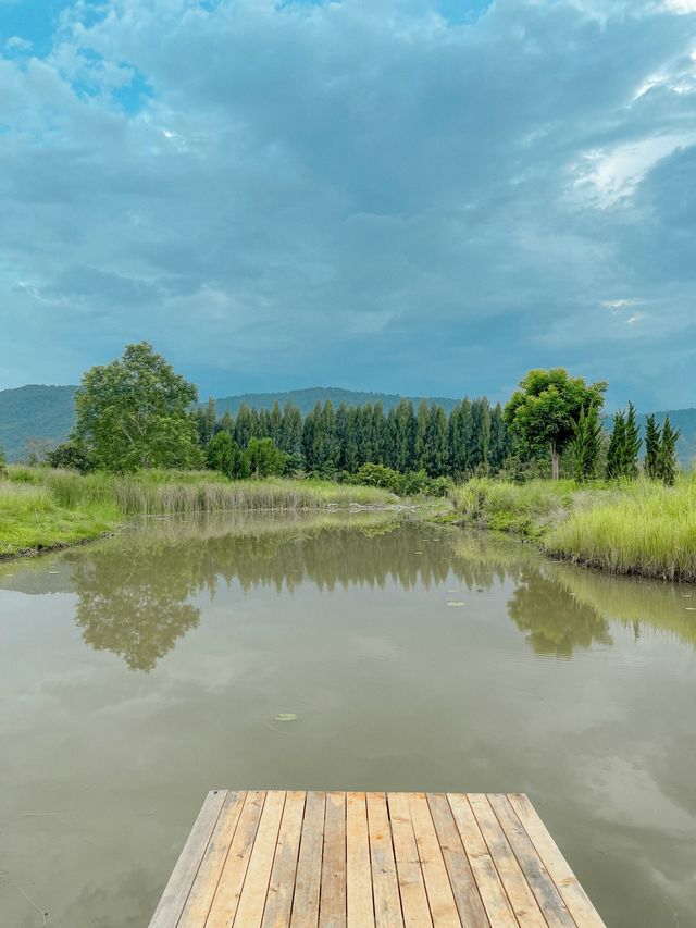 BUCOLIC Khaoyai 🏡🌲 