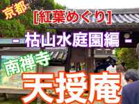 京都[紅葉めぐり] 南禅寺　天授庵- 枯山水庭園にて和む -