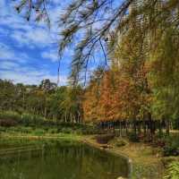 青衣公園