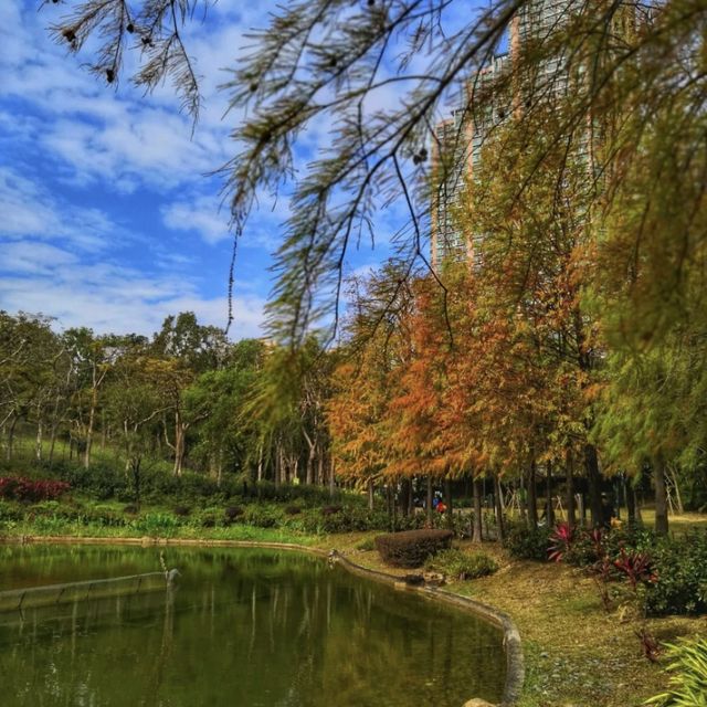 青衣公園