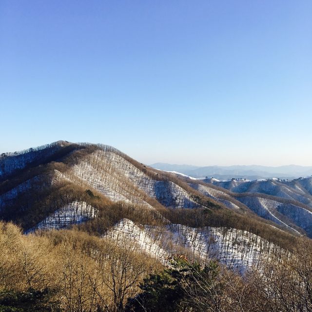 눈 밭에서 뒹구는 건 싫지만 눈 구경은 좋다구요!!