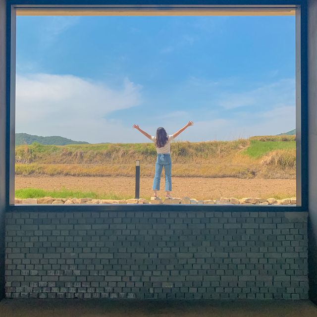 [경주] 경주 핫플 브런치카페! 로드 100
