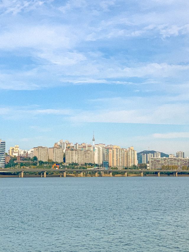 [서울] 피크닉하면?! “여의도한강공원”❣️