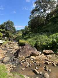 คาเฟ่ลับ!! สไตล์ camping เชียงใหม่
