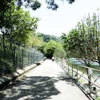 打卡位 小白鷺餐廳