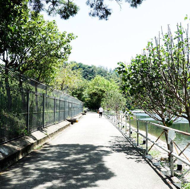 打卡位 小白鷺餐廳