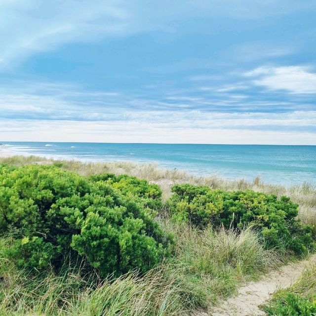 Apollo Bay Staycation