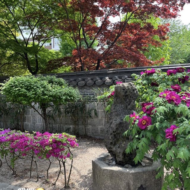 4월, 선명한 꽃들이 만발한 운현궁 