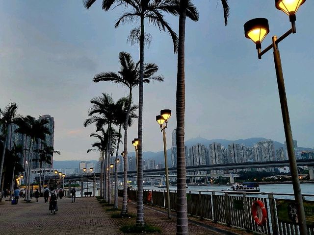 晨運海灣濱長廊