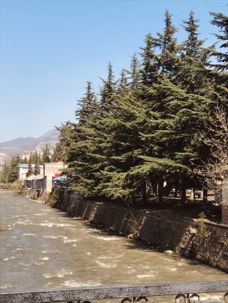 伊傑萬 - 耶爾極限公園 - 葡萄酒工廠