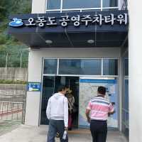 여수에서 해상케이블카 타고 오동도 둘러보기! 