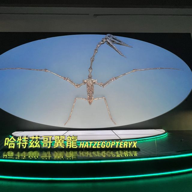 8大恐龍展