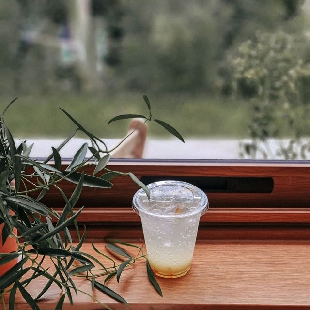 Ganicco Farm คาเฟ่สวยเปิดใหม่นนทบุรี