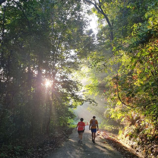 1.5hr steep trail to 654M ⛰️