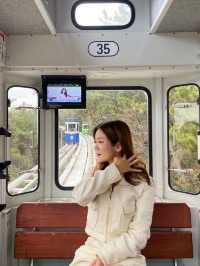 귀여운 캡슐 열차 타고 해운대를 한눈에!캡슐 열차 꿀팁까지 한눈에!🚃🤍 