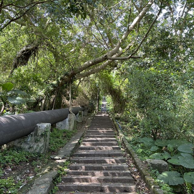 Bet you didn’t know: Hidden trail in Taipei. 