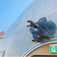 【旭山動物園】北海道/旭川市