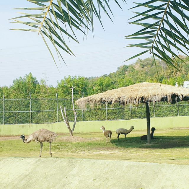 인도의 동물원 Jungle Safari