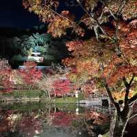 【もみじの永観堂】オススメ紅葉スポット