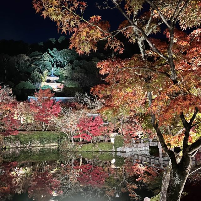 【もみじの永観堂】オススメ紅葉スポット